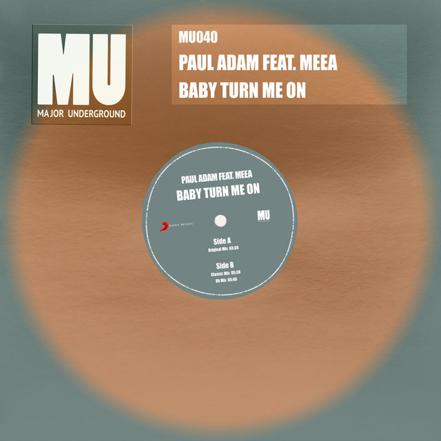 Baby Turn Me On (feat. Meea)