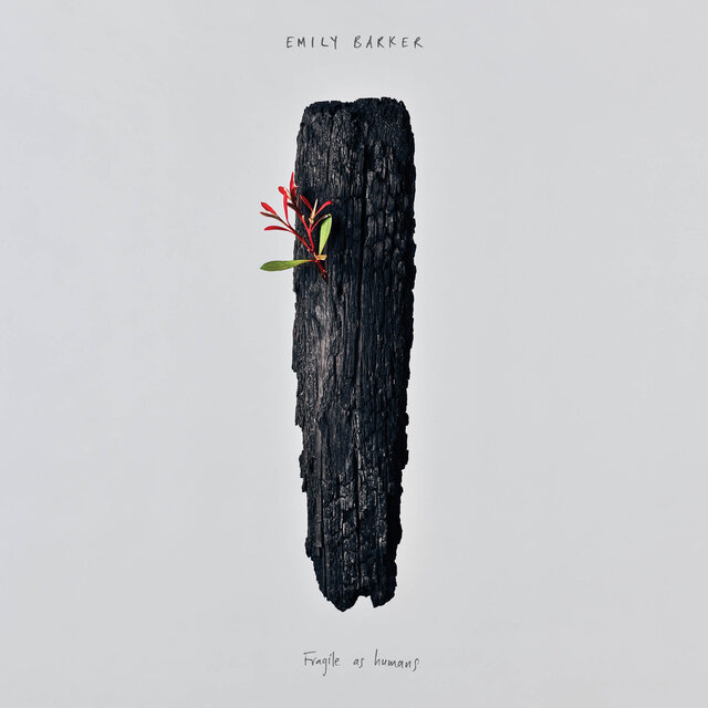 Fragile as Humans (Extended Edition)