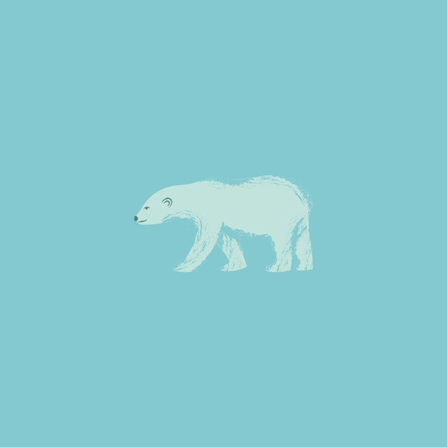 Oso Polar