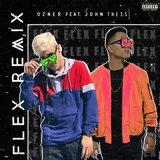 Flex (Remix)