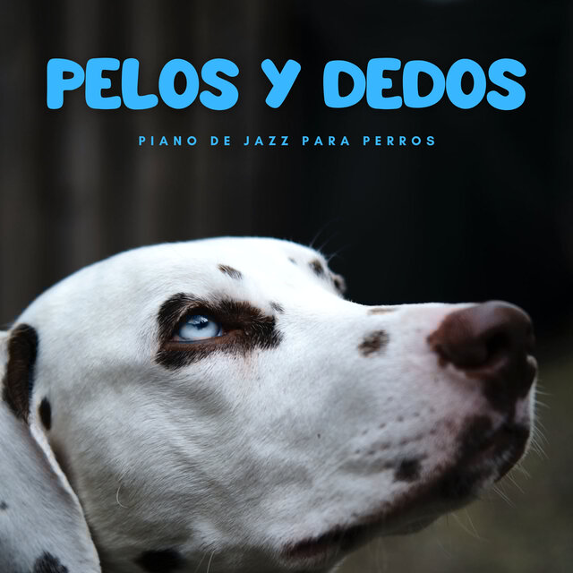 Pelos Y Dedos: Piano De Jazz Para Perros