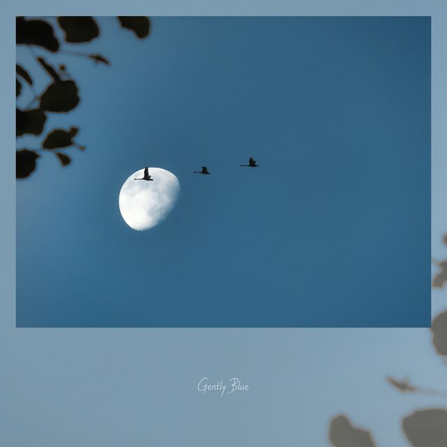 蓝色的月光（Blue Moon）