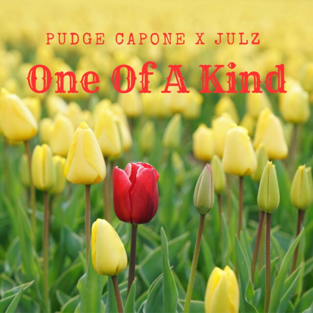 One Of A Kind