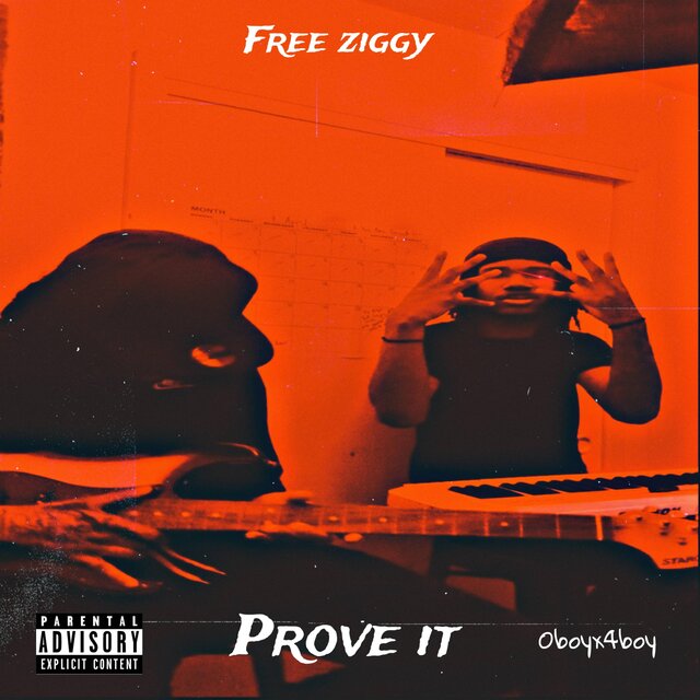 PROVE IT (feat. Ziggystillkountin)
