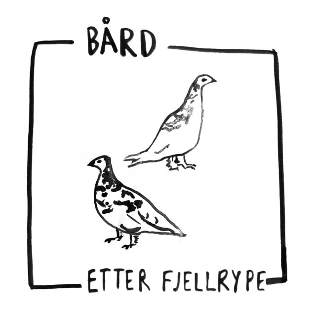 Etter fjellrype