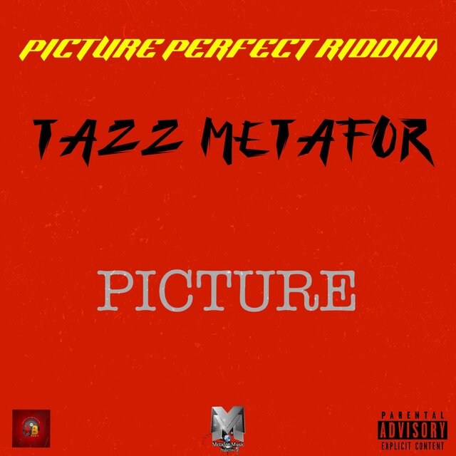 PICTURE PERFECT
