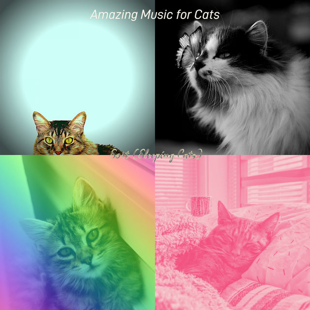 Sort (Sleeping Cats)
