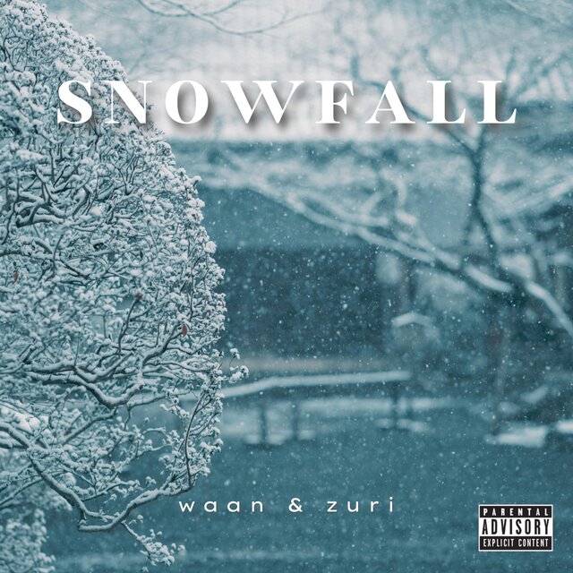 snowfall