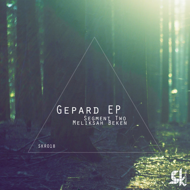 Gepard
