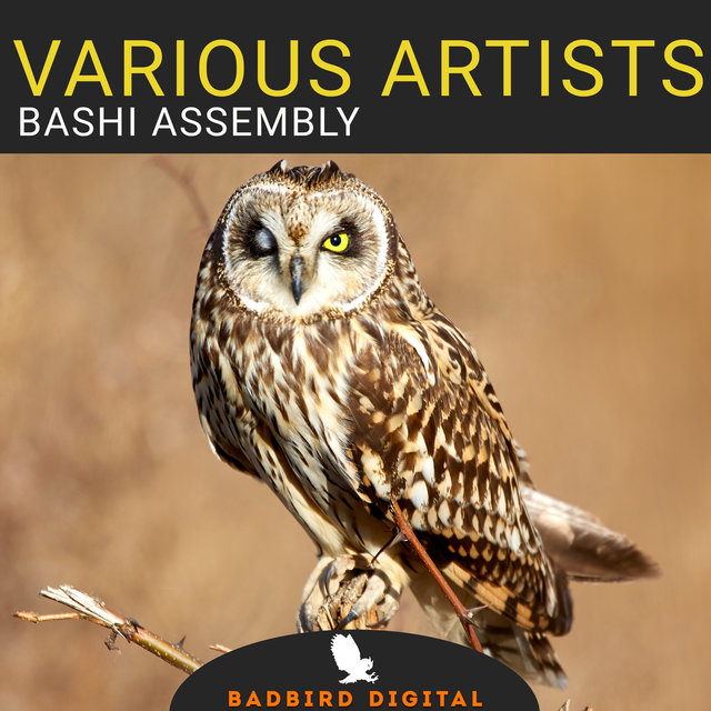 Bashi Assembly
