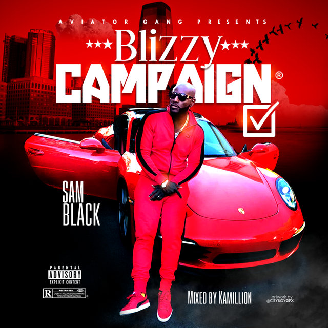 Blizzy Campaign