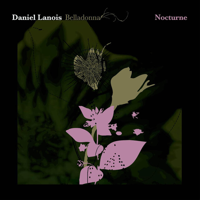 Cover art for album Belladonna Nocturne by Daniel Lanois
