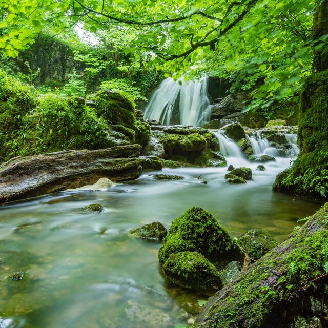 Still Waters