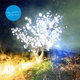 Cover art for album Vertigo Days by The Notwist