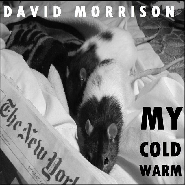 My Cold Warm