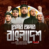 Tomar Amar Bangladesh