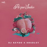 Pa' Que Sudes