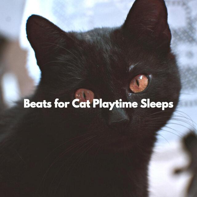 Beats for Cat Playtime Sleeps
