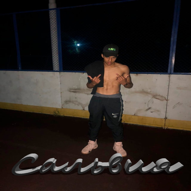 Сальвия