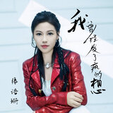 我曾经发了疯的想