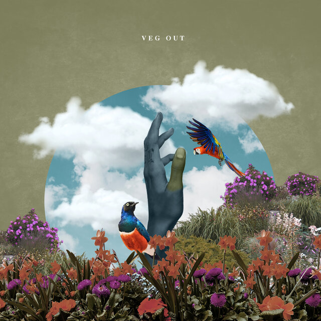Cover art for album Veg Out (Wasting Thyme) by Masego