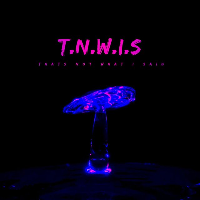 T.N.W.I.S (THATS NOT WHAT I SAID)