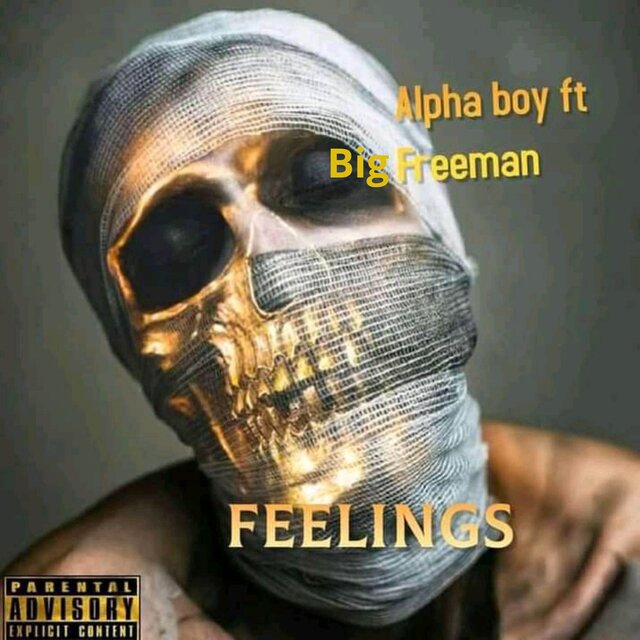 Feelings