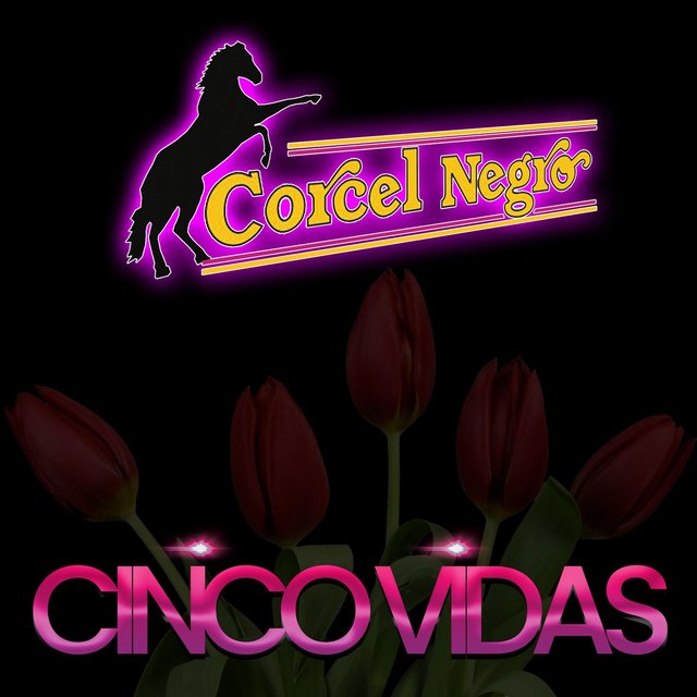 Cinco Vidas