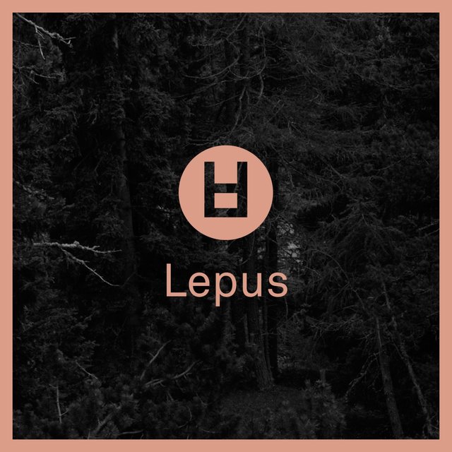 Lepus Pt. 1