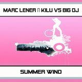 Summer Wind