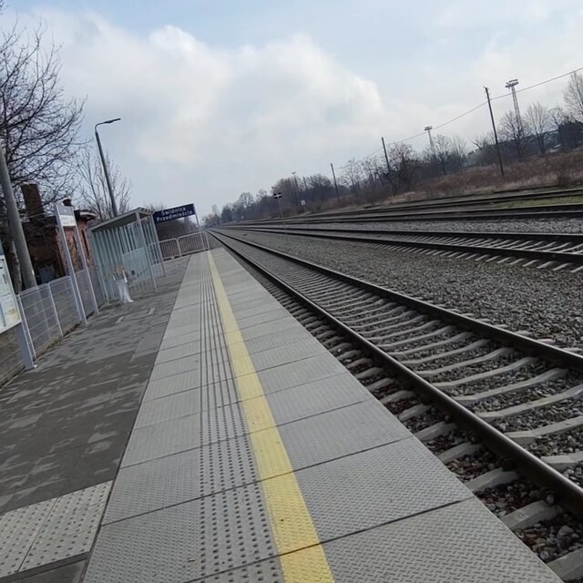 Vlogs