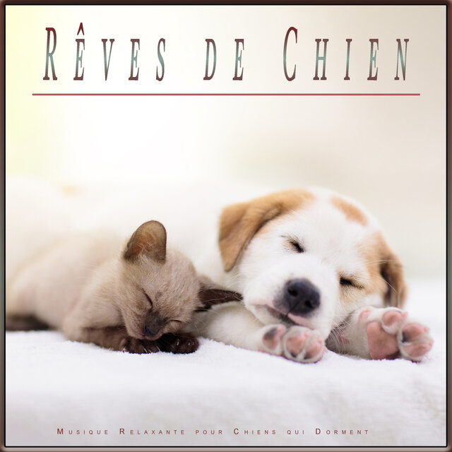 Rêves de Chien: Musique Relaxante pour Chiens qui Dorment