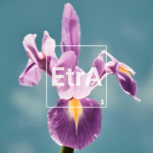 EtrA