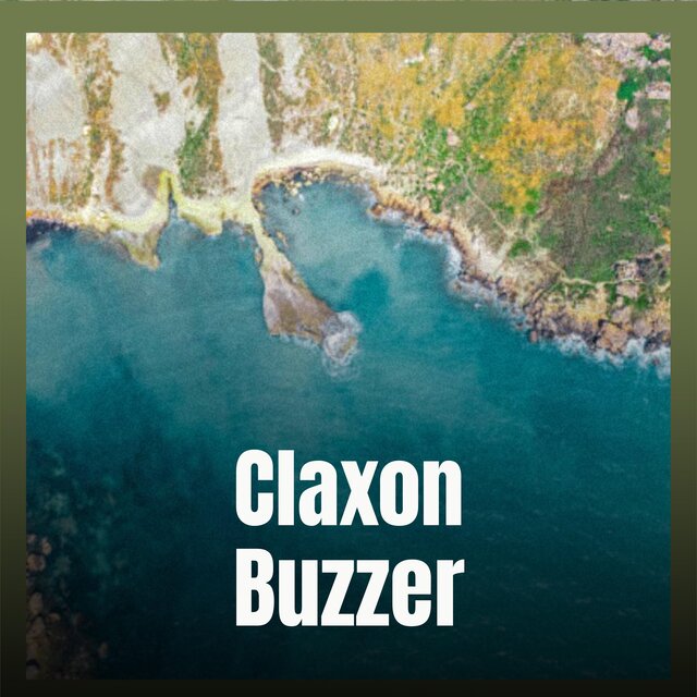 Claxon Buzzer