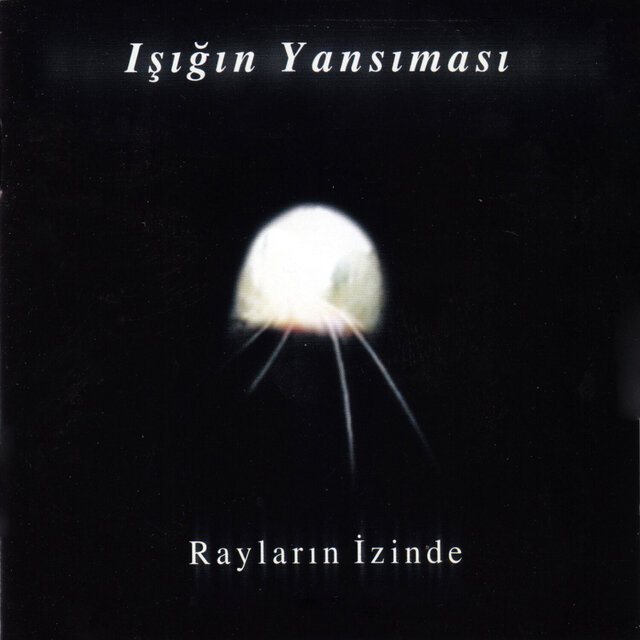 Rayların İzinde (Anadolu'da Bir Tren Yolculugu)