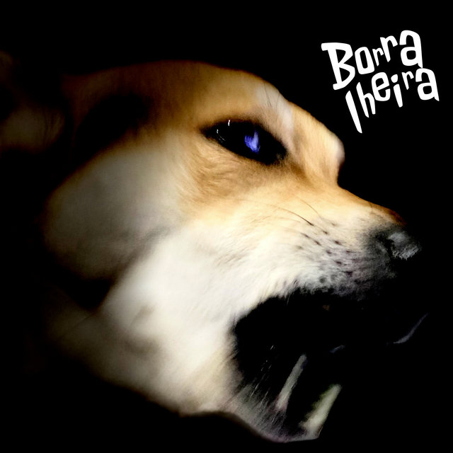 Quem de Nós