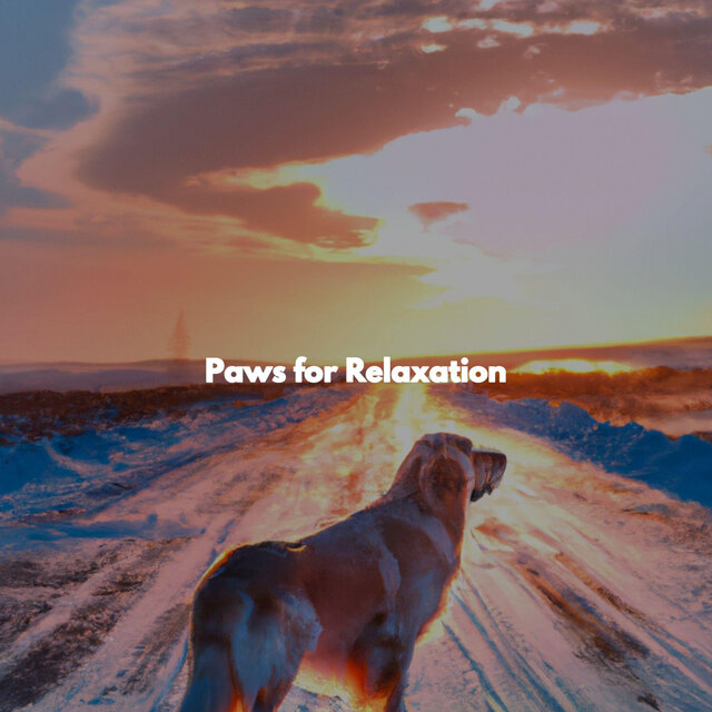 Paws for Relaxation