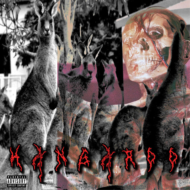 KANGAROO