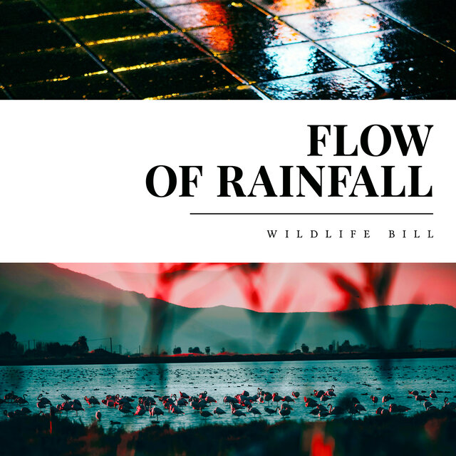 Flow of Rainfall
