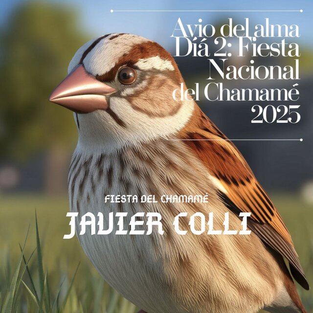 Javier Colli en Avio del Alma, Dia 2: Fiesta Nacional del Chamamé 2025 (En Vivo)