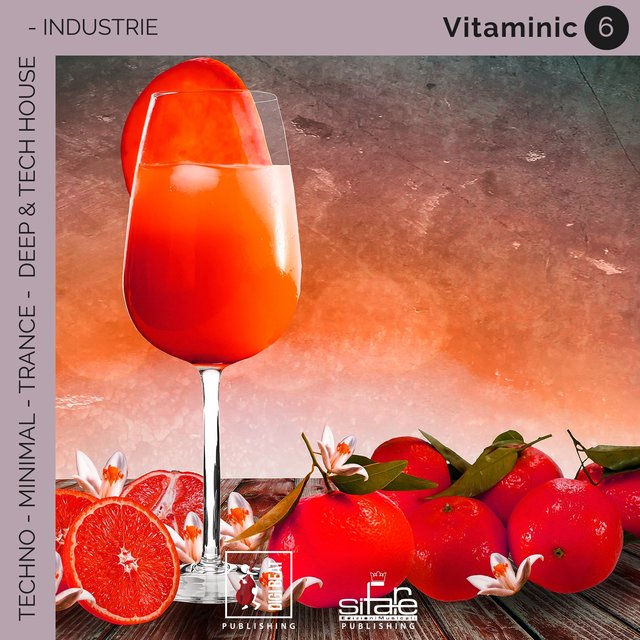 Vitaminic 6 (Remix Version)