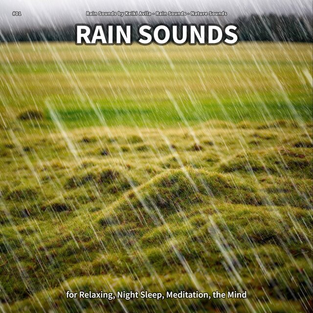 #01 Rain Sounds for Relaxing, Night Sleep, Meditation, the Mind