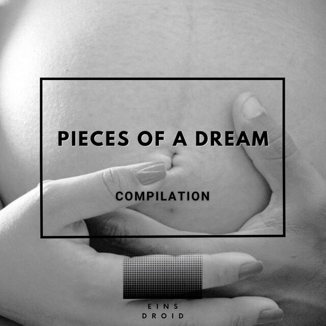 Pieces of a Dream