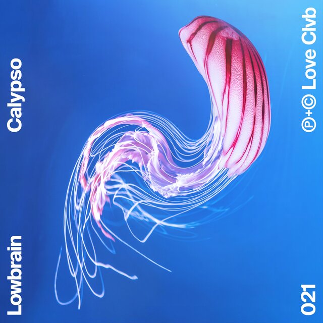 Calypso