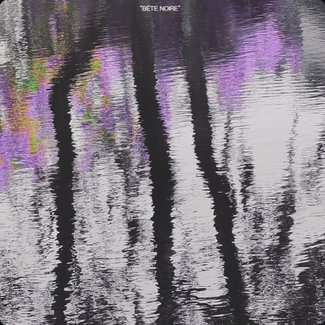 BÊTE NOIRE