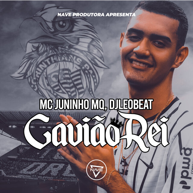 Gavião Rei