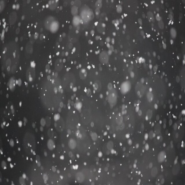 A snowy day