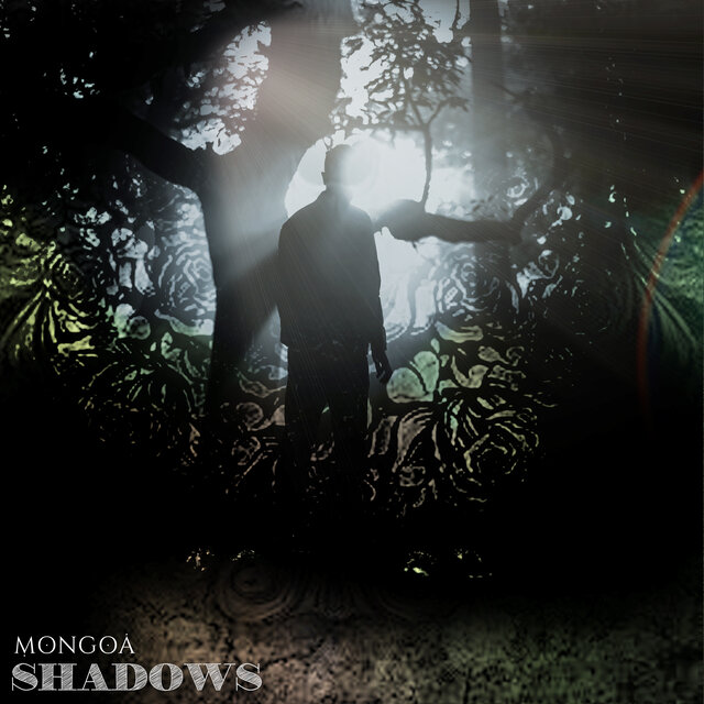 Shadows
