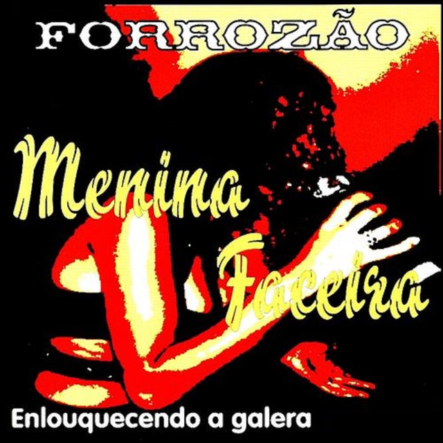 Enlouquecendo a Galera (Cover)