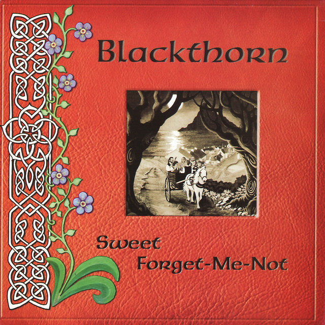 Sweet Forget-Me-Not